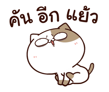 แมวเต้าหู้ : คำฮิตติดปาก รูปที่ 22