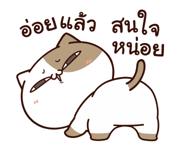 แมวเต้าหู้ : คำฮิตติดปาก รูปที่ 23