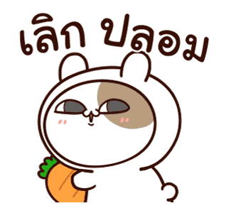 แมวเต้าหู้ : คำฮิตติดปาก รูปที่ 24