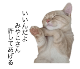 356003845