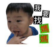 356061067