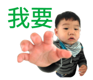 356061069