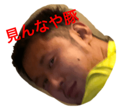 356072795
