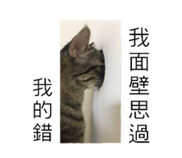 356150124