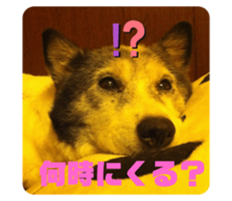 356204271