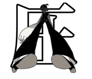 356216593