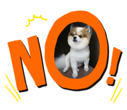 Hana&Ruby | Yabe-LINE貼圖代購 | 台灣No.1，最便宜高效率的代購網