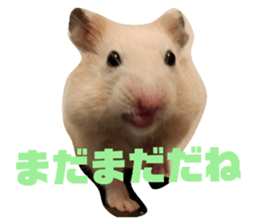356305798
