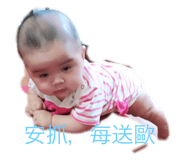 356306829