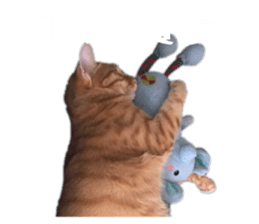 356308330