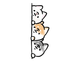 356338723