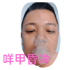 356445806