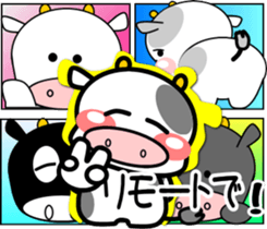 356491034