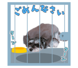 356541874
