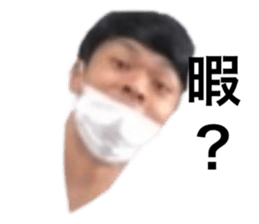 356554890