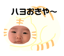 356578672