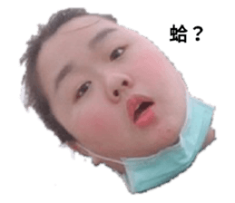 356596655