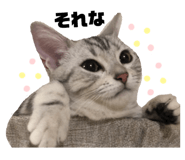 356603490