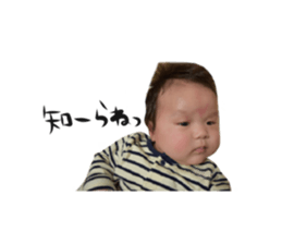 35661024