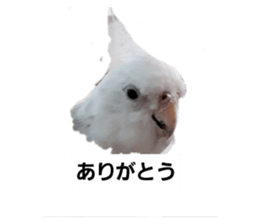356636246