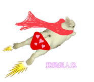 356640496
