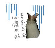 356640499