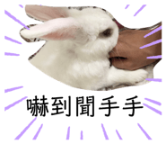 356640500
