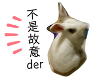 356640504