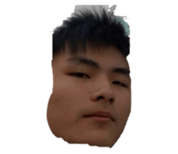 356642067