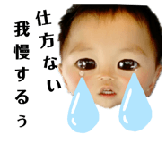 356801319