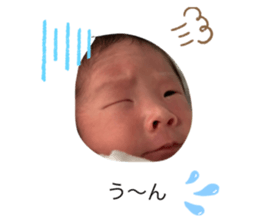 356801854