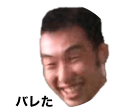 356808034