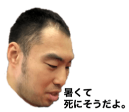 356808038