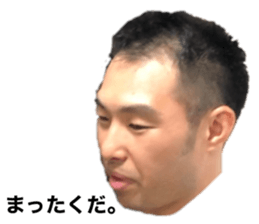 356808041