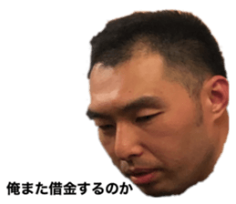 356808045