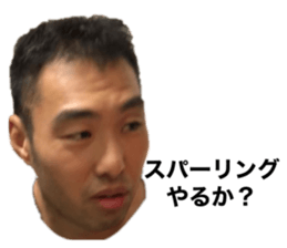 356808046