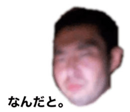 356808048