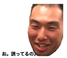 356808049