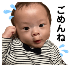 356825922