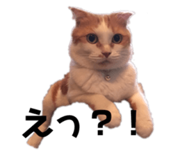356831187