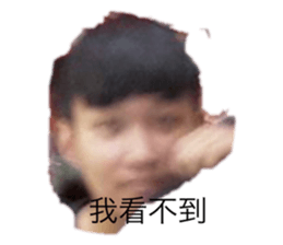 356841057