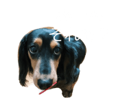 356866126