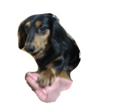 356866127
