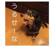 356866128
