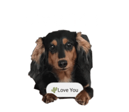 356866132