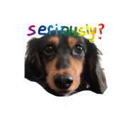 356866134