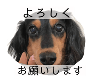 356866145