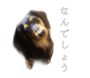 356866147