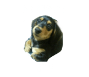 356866148