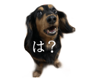 356866149
